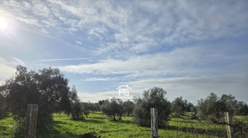 Seville - Pilas - 9330m2