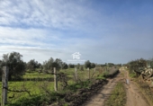 Finca rústica en venda a Pilas ref.: TR394496 foto