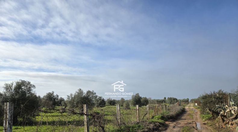 Seville - Pilas - 9330m2