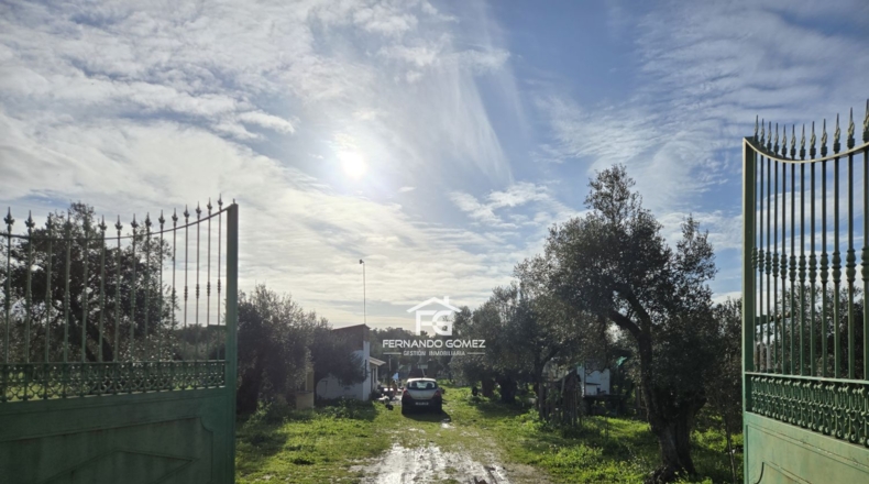 Seville - Pilas - 9330m2