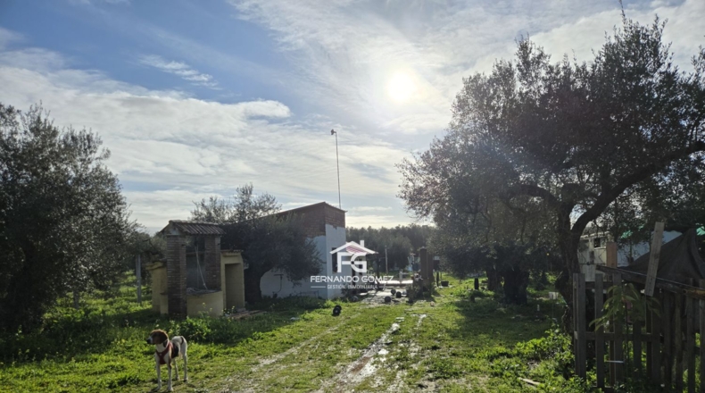 Seville - Pilas - 9330m2