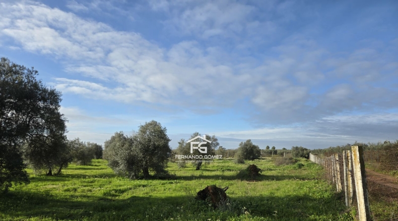 Seville - Pilas - 9330m2
