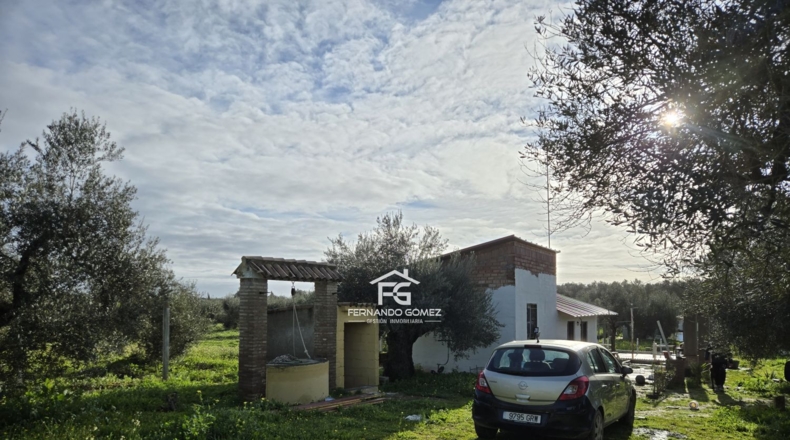 Seville - Pilas - 9330m2