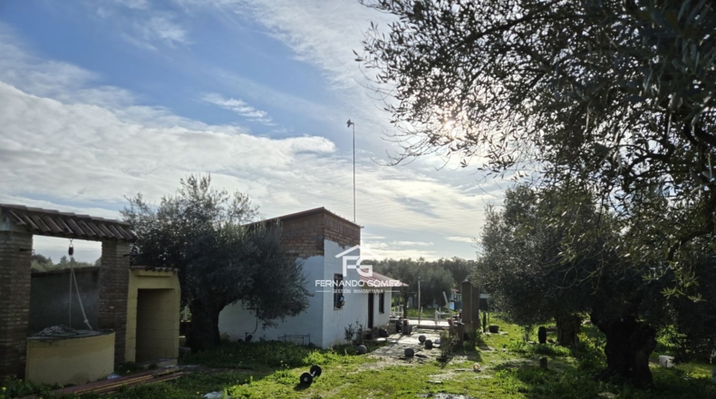 Seville - Pilas - 9330m2