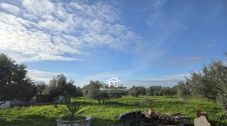 Seville - Pilas - 9330m2