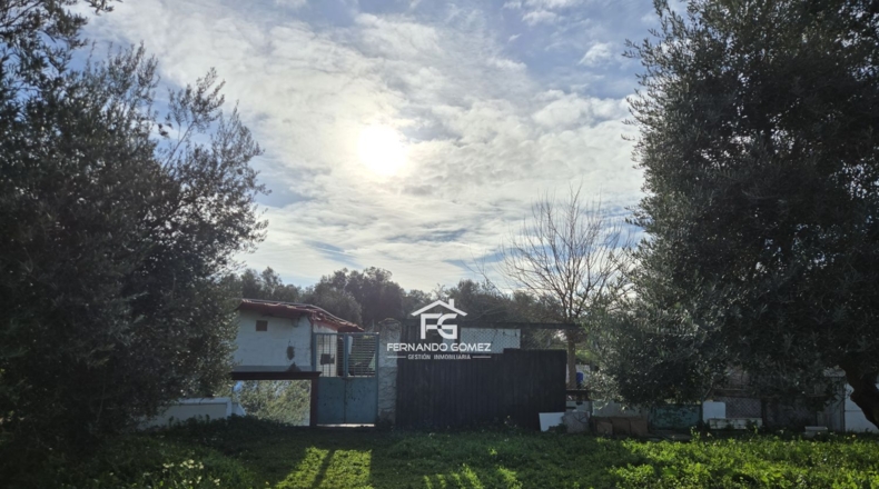 Seville - Pilas - 9330m2