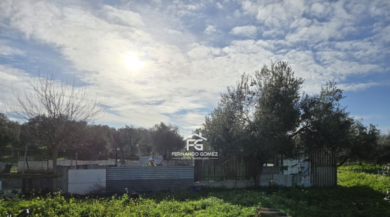 Seville - Pilas - 9330m2