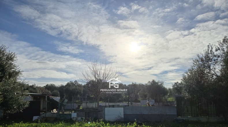 Seville - Pilas - 9330m2