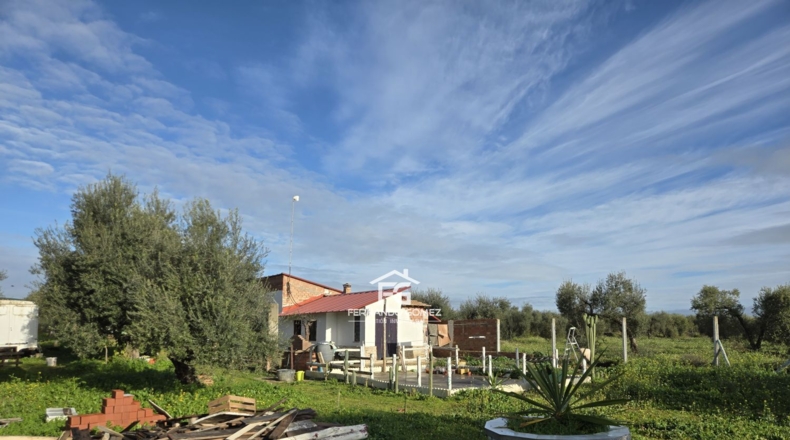 Seville - Pilas - 9330m2