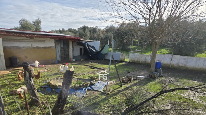 Seville - Pilas - 9330m2