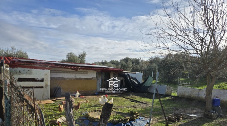 Seville - Pilas - 9330m2
