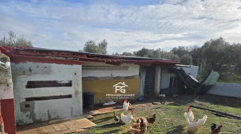 Seville - Pilas - 9330m2