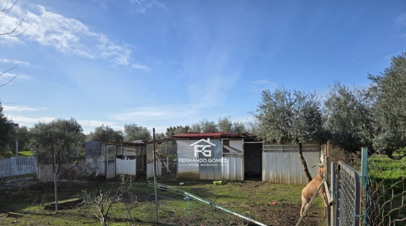 Seville - Pilas - 9330m2