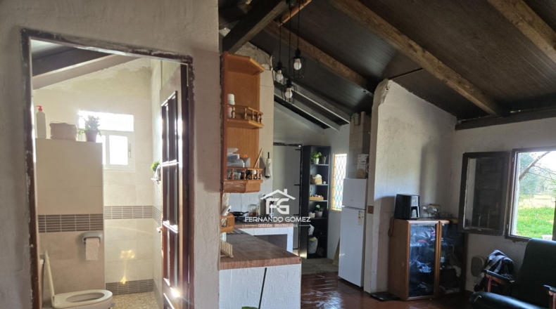 Seville - Pilas - 9330m2
