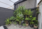 Village house for sale in Pilas ref: TR394494 photo