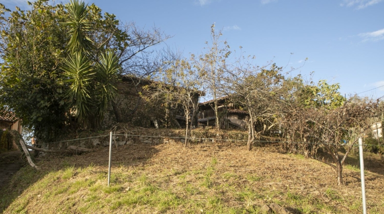Asturias - Villaviciosa - 500m2