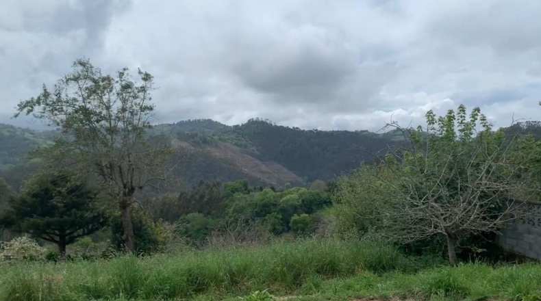Asturias - Villaviciosa - 448m2