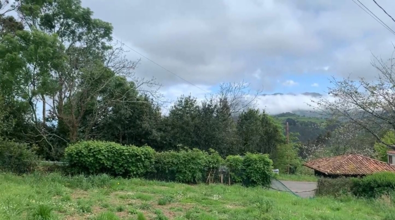 Asturias - Villaviciosa - 448m2