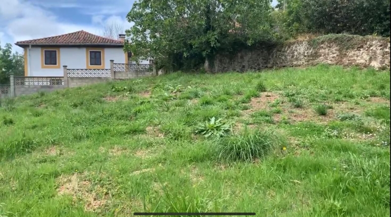 Asturias - Villaviciosa - 448m2