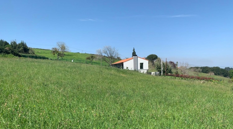 Asturias - Gijón - 2187m2