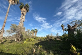 Sueca 3000&nbsp;м²