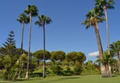 Xalet independent amb terreny en venda a Estepona ref.: TR394275 foto