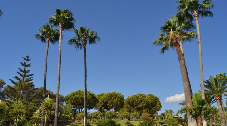 Málaga - Estepona - 19115m2