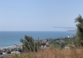 Земля, подлежащая урбанизации на продажу у города Casares. Фото