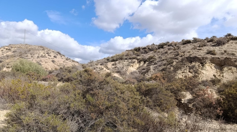 Almería - Rioja - 31700m2