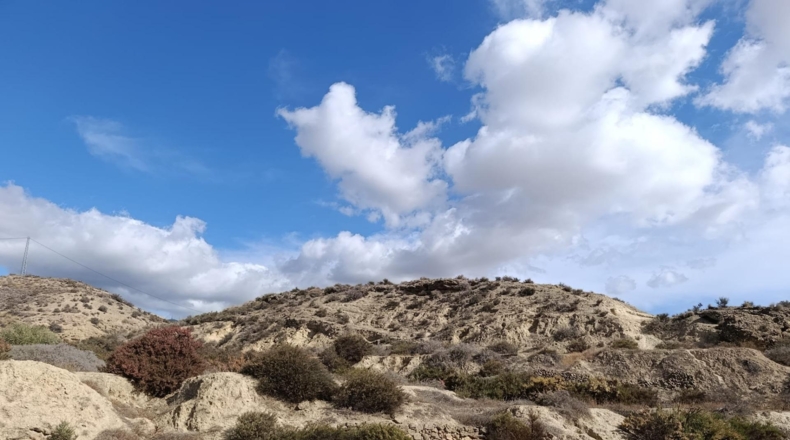 Almería - Rioja - 31700m2