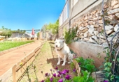 Chalet independiente con terreno en venta en Onda ref: TR394283 foto