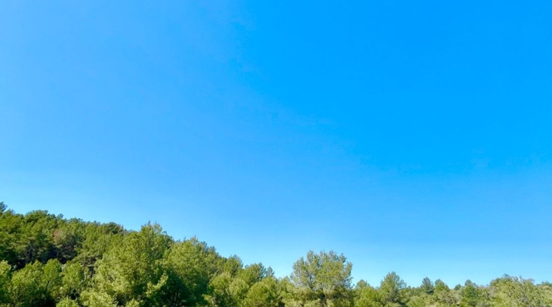 Castellón - Onda - 835m2