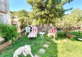 Chalet independiente con terreno en venta en Onda ref: TR394283 foto