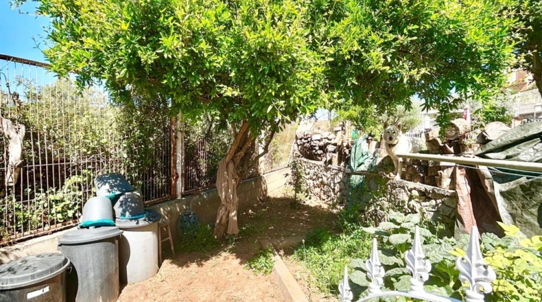 Castellón - Onda - 835m2