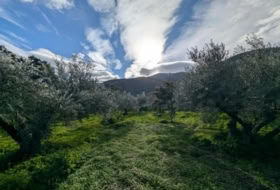 Órgiva 6865&nbsp;m² 