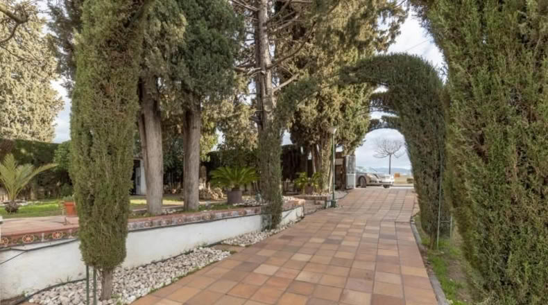 Granada - Guadix - 890m2