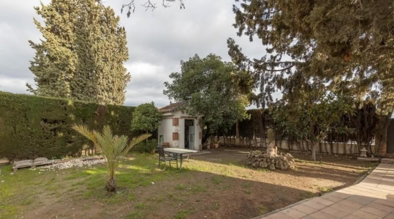 Granada - Guadix - 890m2