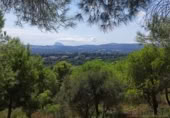 Parcel·la urbanitzable en venda a la España, San Roque, ref.: TR394340 foto