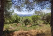 Parcel·la urbanitzable en venda a la España, San Roque, ref.: TR394340 foto