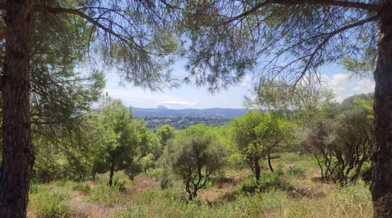 Orense - Vilariño de Conso - 3376m2