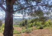Parcel·la urbanitzable en venda a la España, San Roque, ref.: TR394340 foto