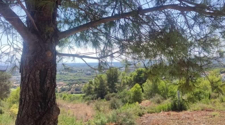 Orense - Vilariño de Conso - 3376m2