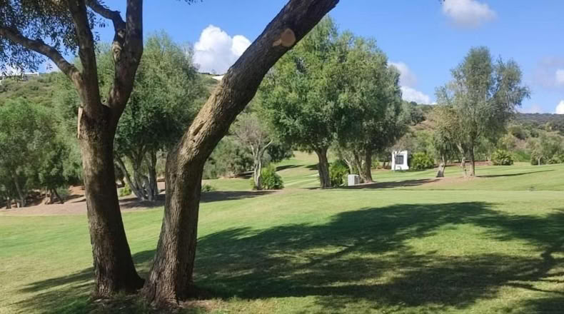 Orense - Vilariño de Conso - 3376m2