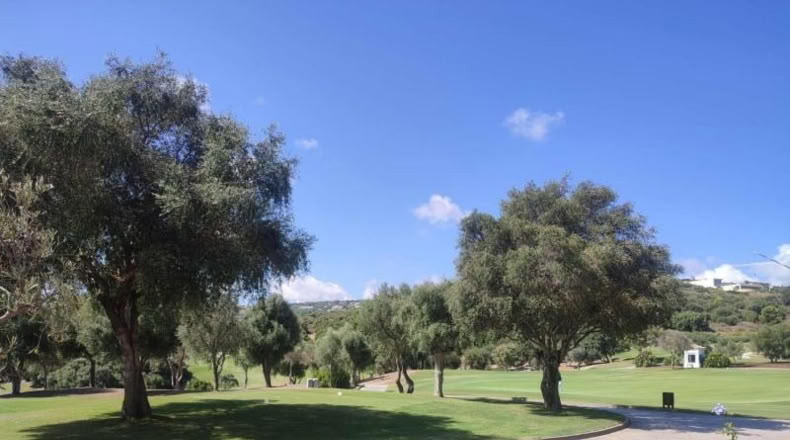 Orense - Vilariño de Conso - 3376m2