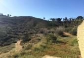 Chalet independiente con terreno en venta en la España, Azuara, ref: TR398098 foto