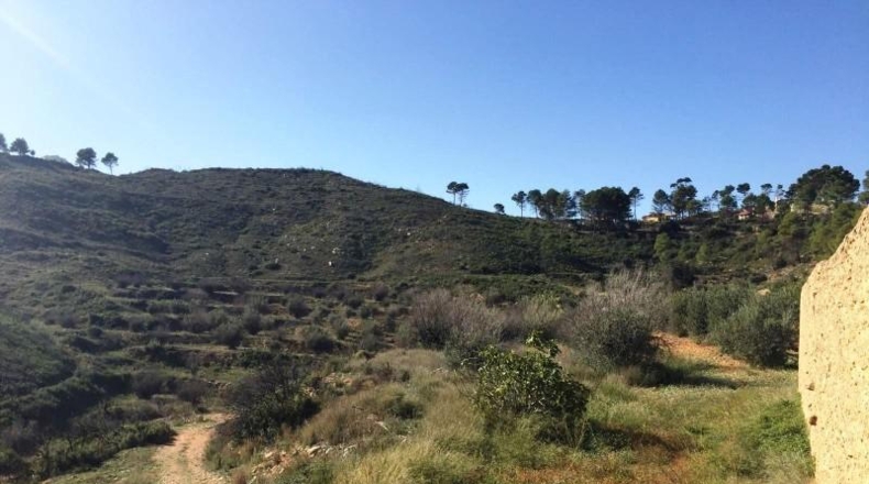 Valencia - Macastre - 25470m2