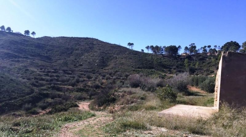 Valencia - Macastre - 25470m2