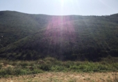 Chalet independiente con terreno en venta en la España, Azuara, ref: TR398098 foto