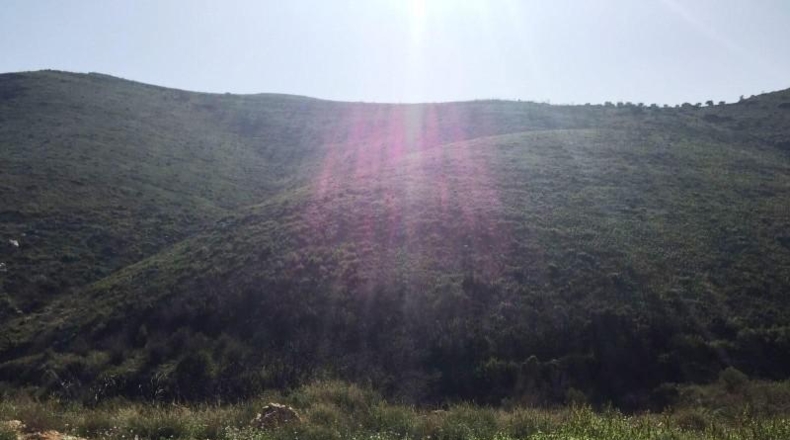 Valencia - Macastre - 25470m2
