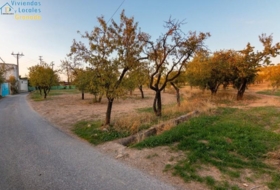 Gójar 15000&nbsp;m²